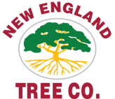 New England Tree Co.